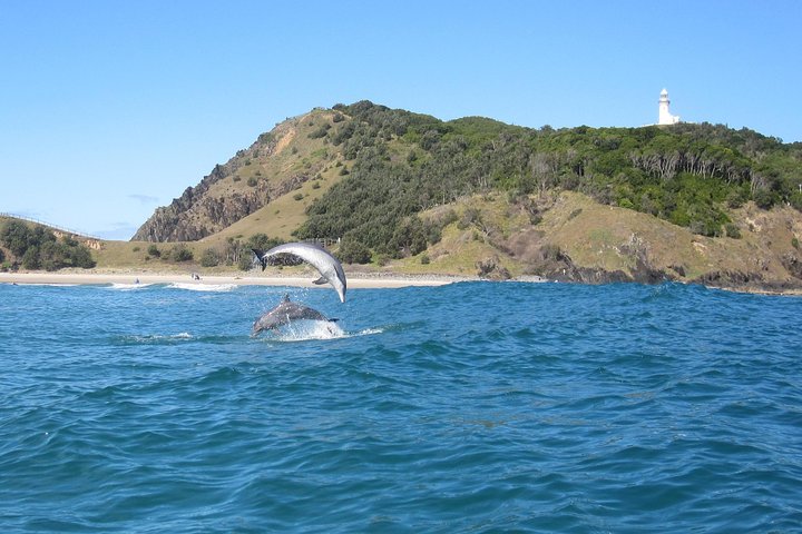 Kayaking with Dolphins in Byron Bay Guided Tour - Pubs and Clubs